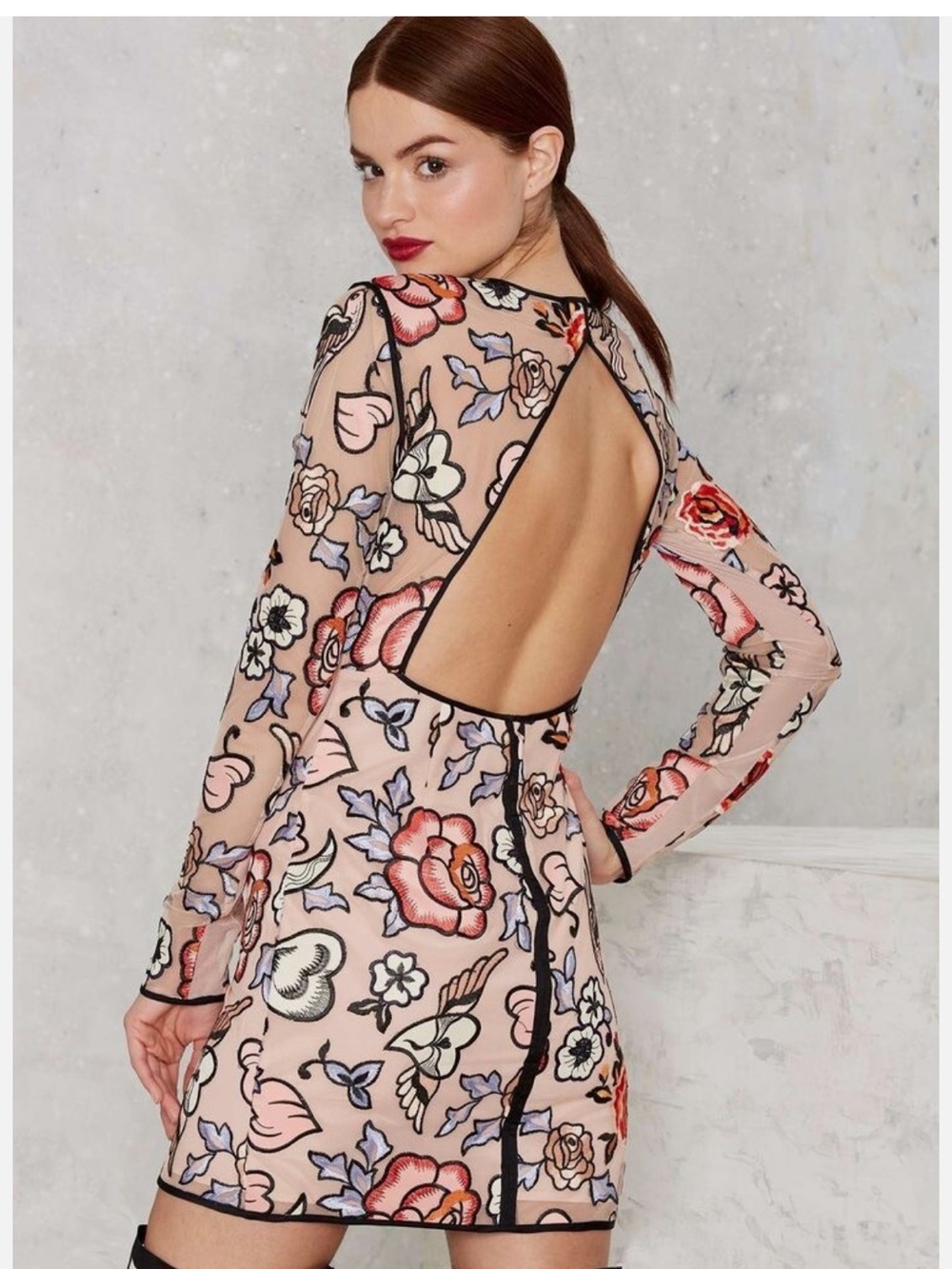 Nasty Gal Tattoo Deep Embroidered Mesh Long Sleeve Dress Size XS